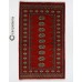 Oriental rug Bukhara Exclusive