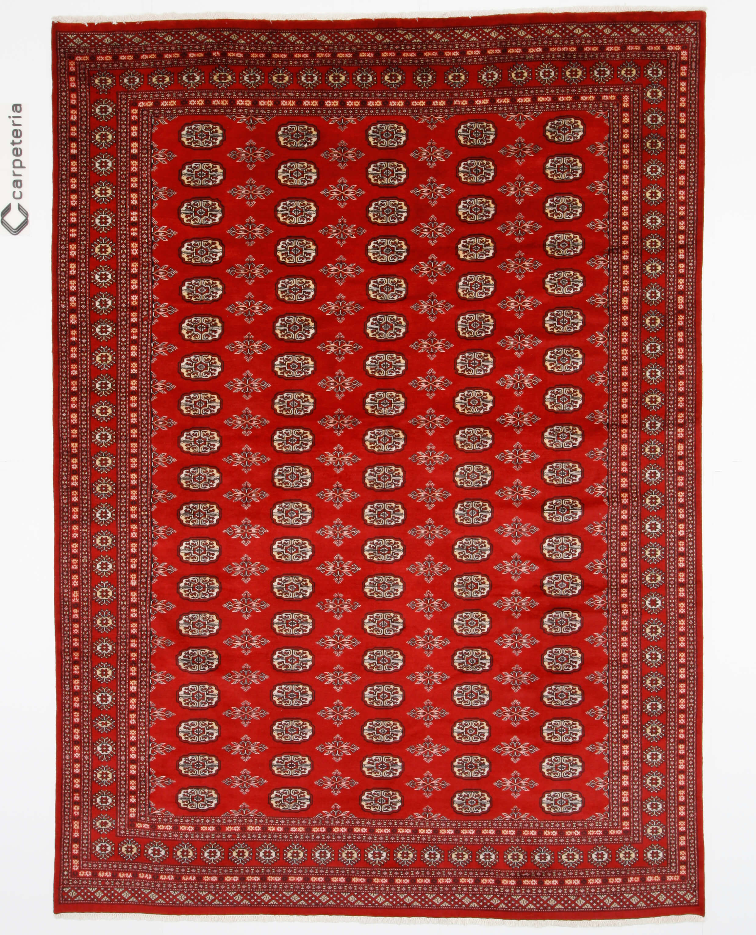 Oriental rug Bukhara Exclusive