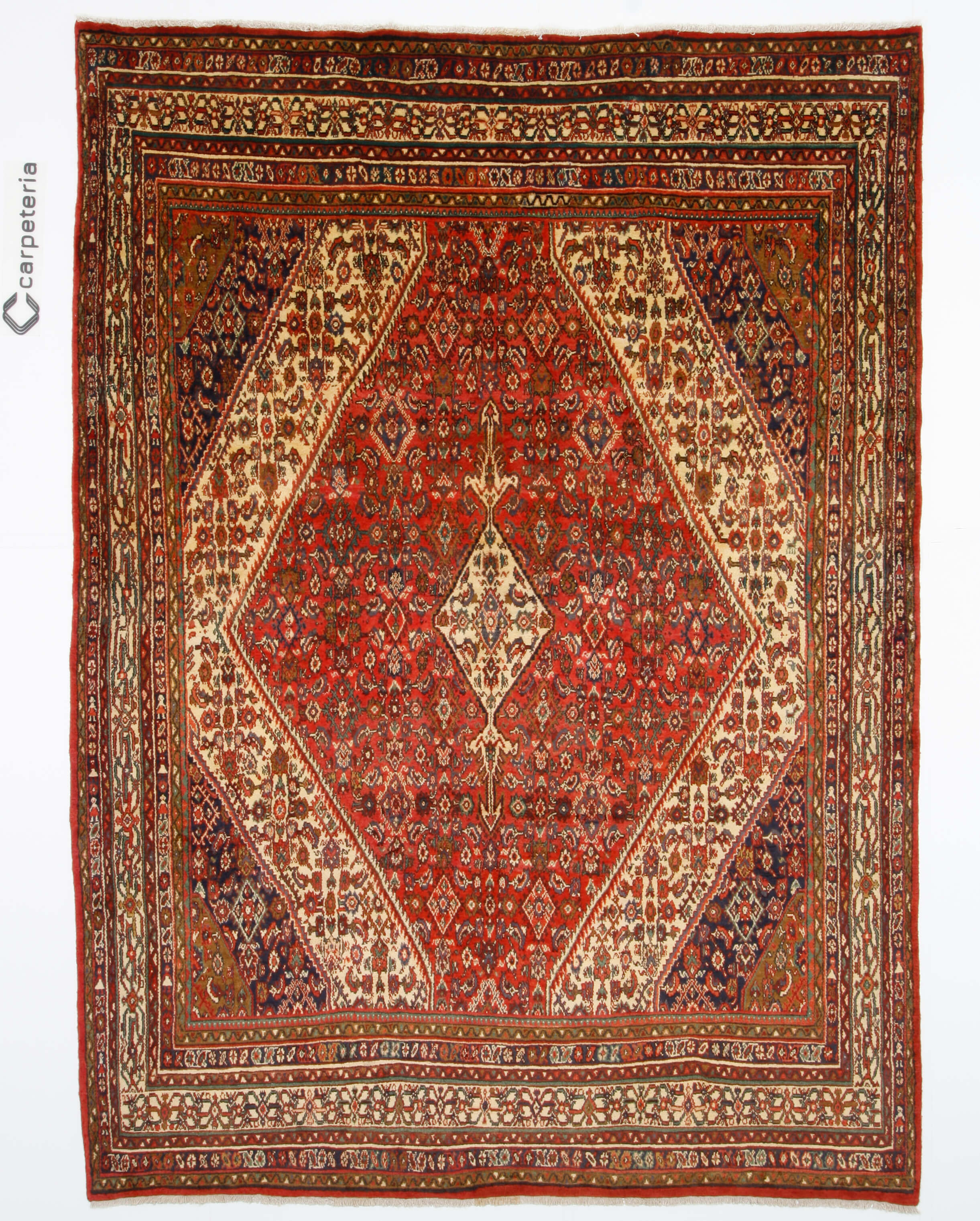 Persian rug Hamedan