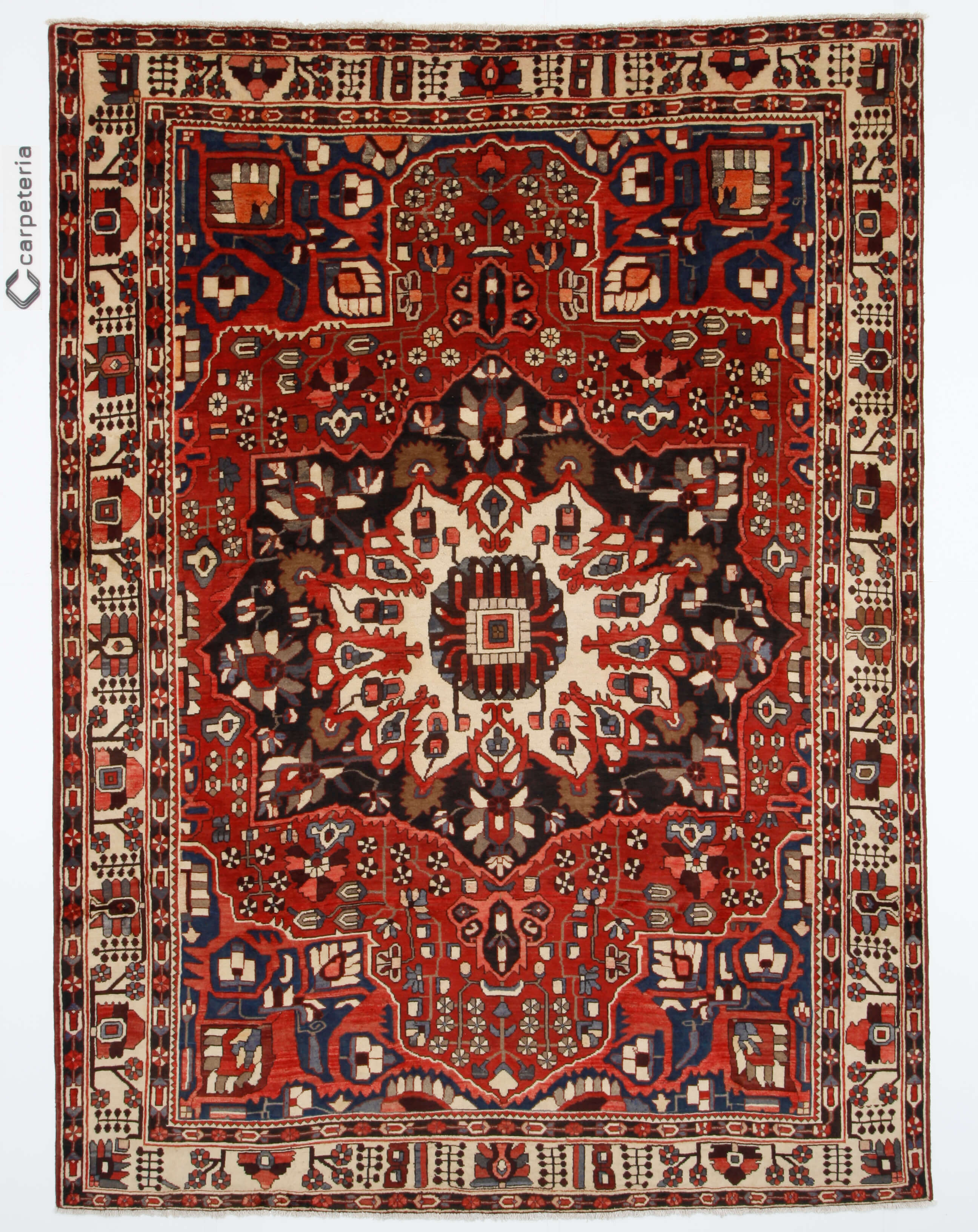 Persian rug Bakhtiar