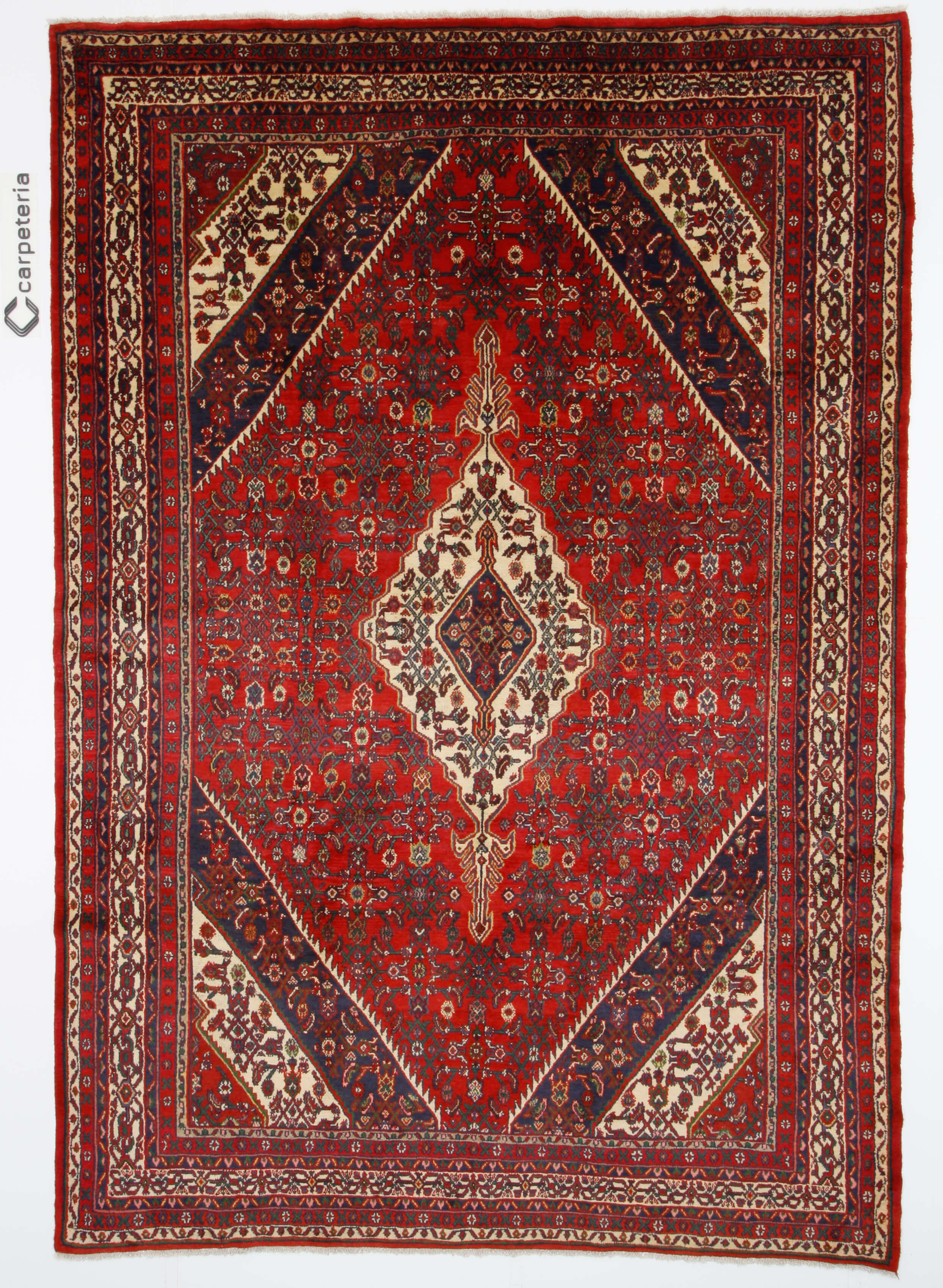 Persian rug Hamedan