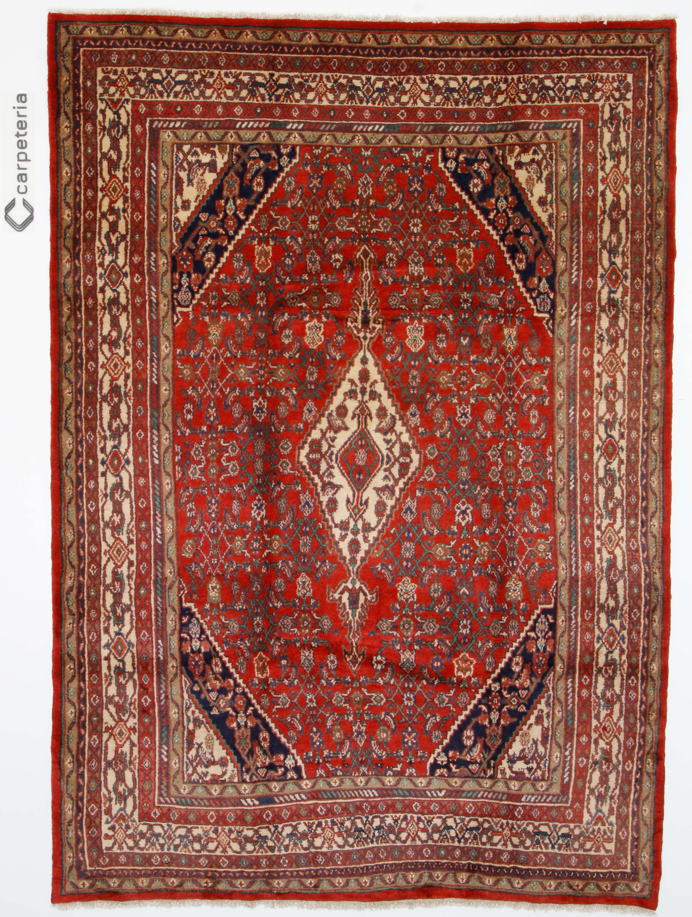 Persian rug Hamadan