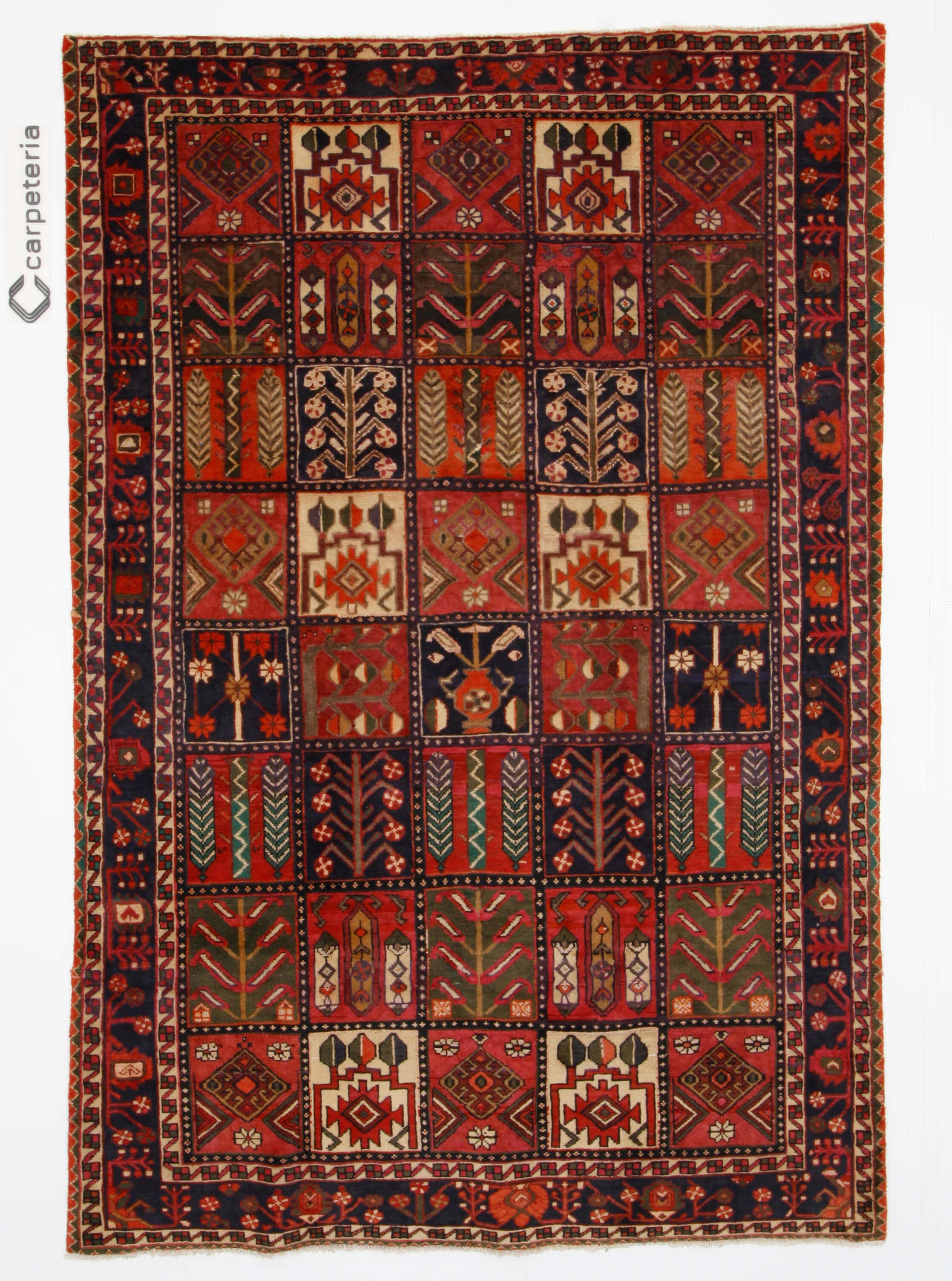 Persian rug Bakhtiar