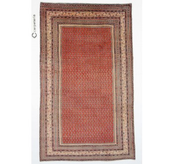 Perský koberec Saruq Mir