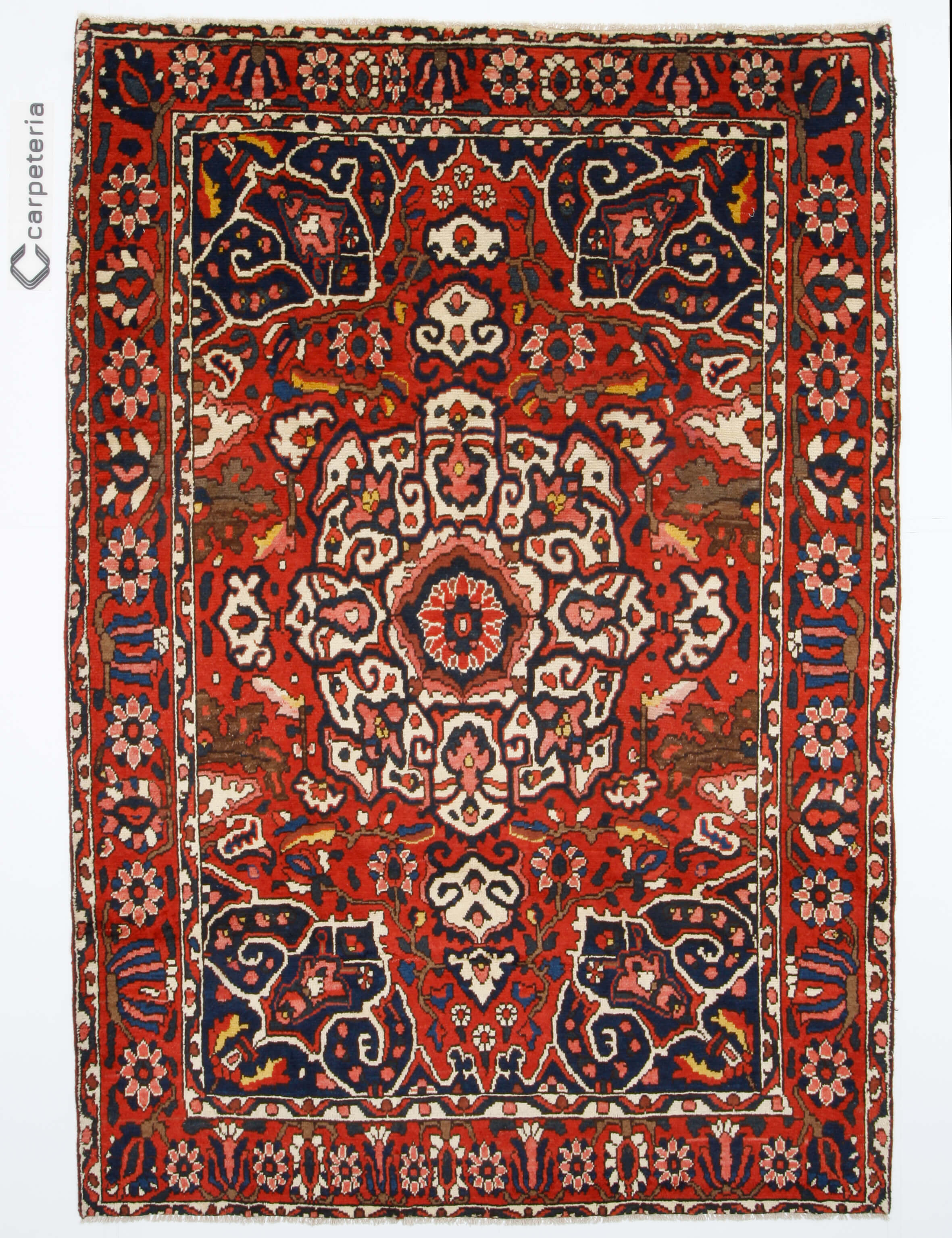 Persian rug Bakhtiar