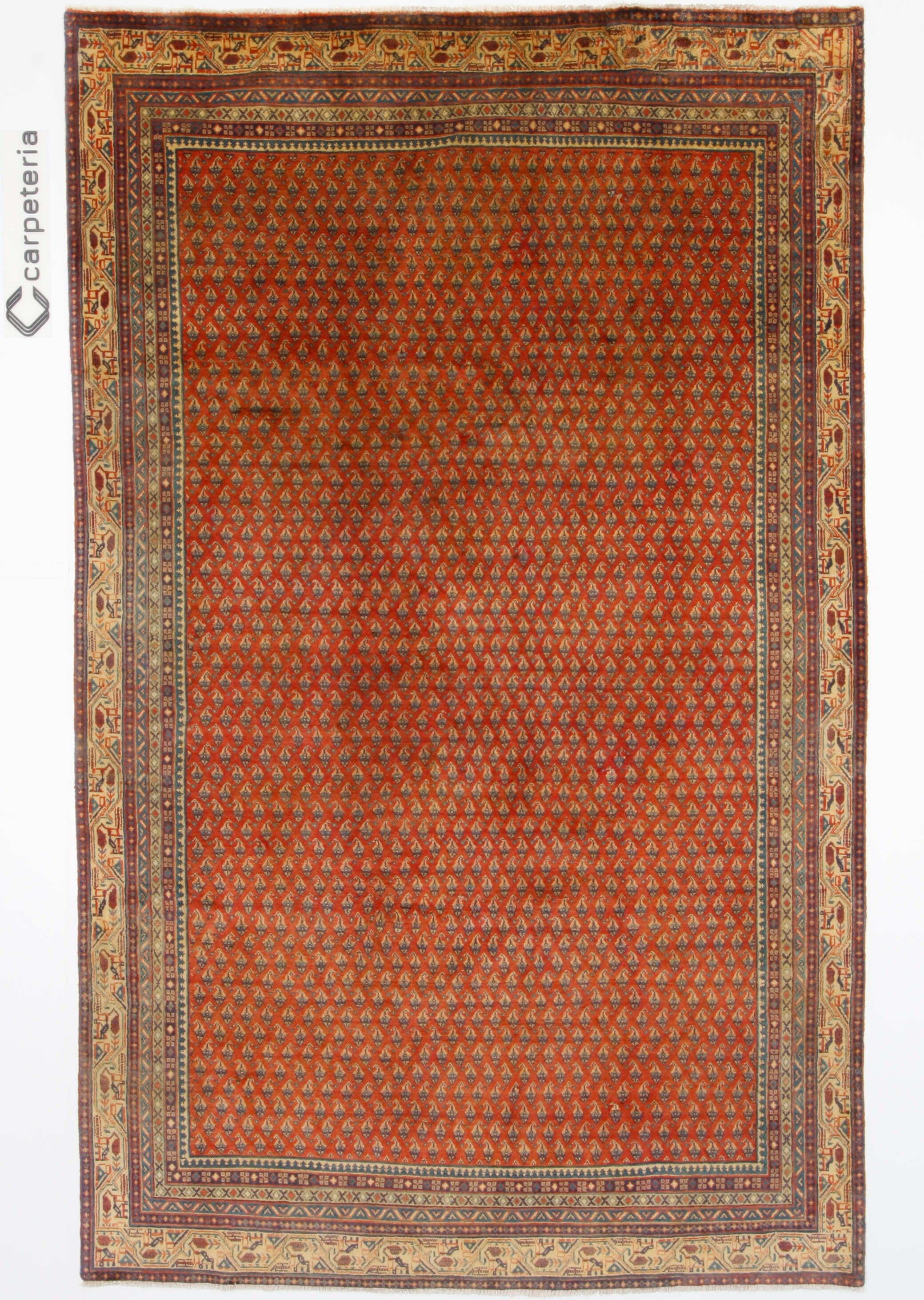 Persian rug Sarough Mir