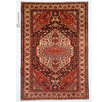 Persian rug Bakhtiar