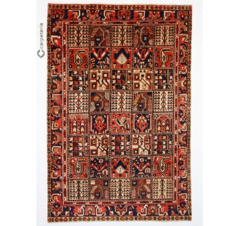 Persian rug Bakhtiar