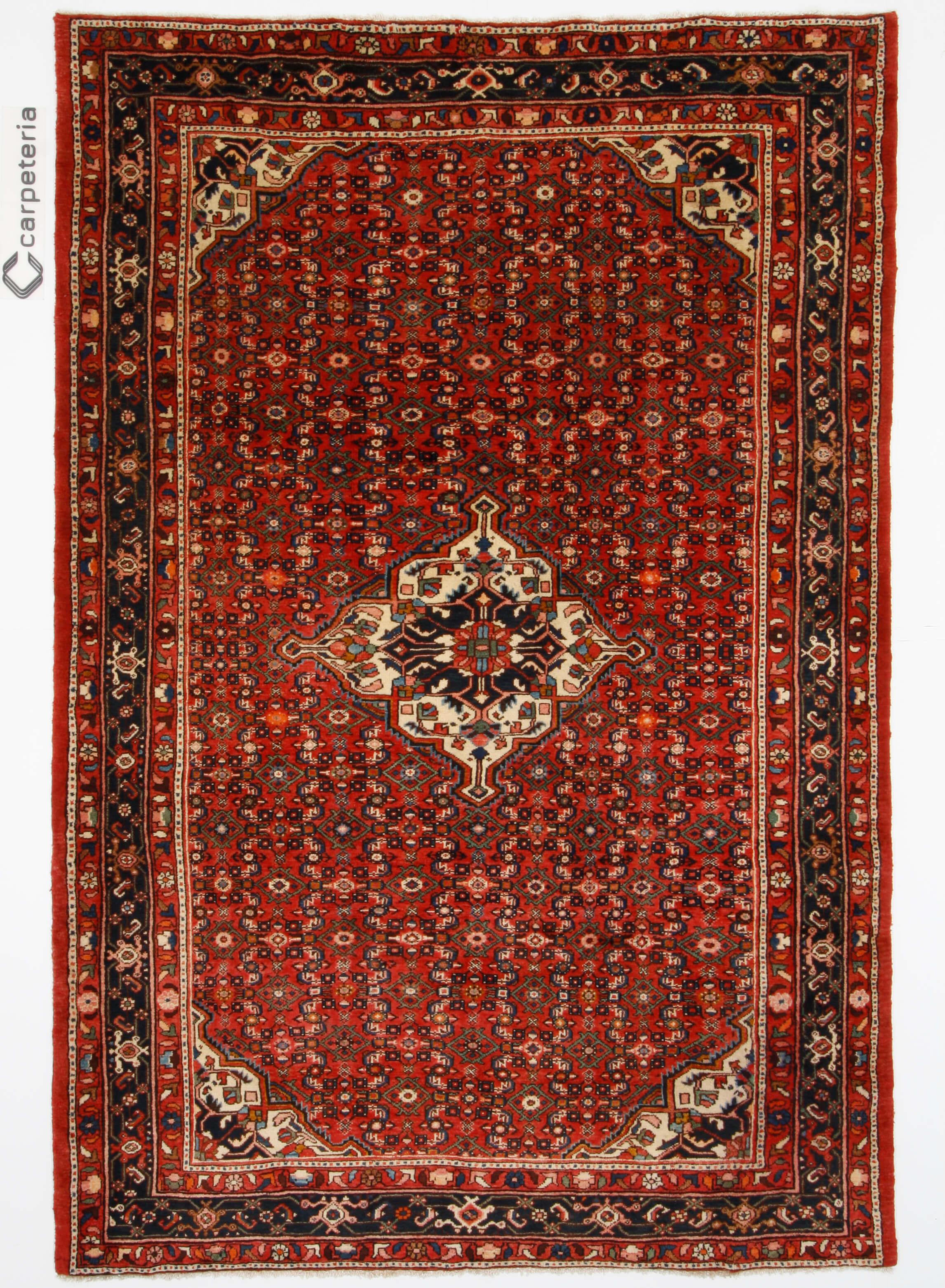 Persian rug Hosseinabad