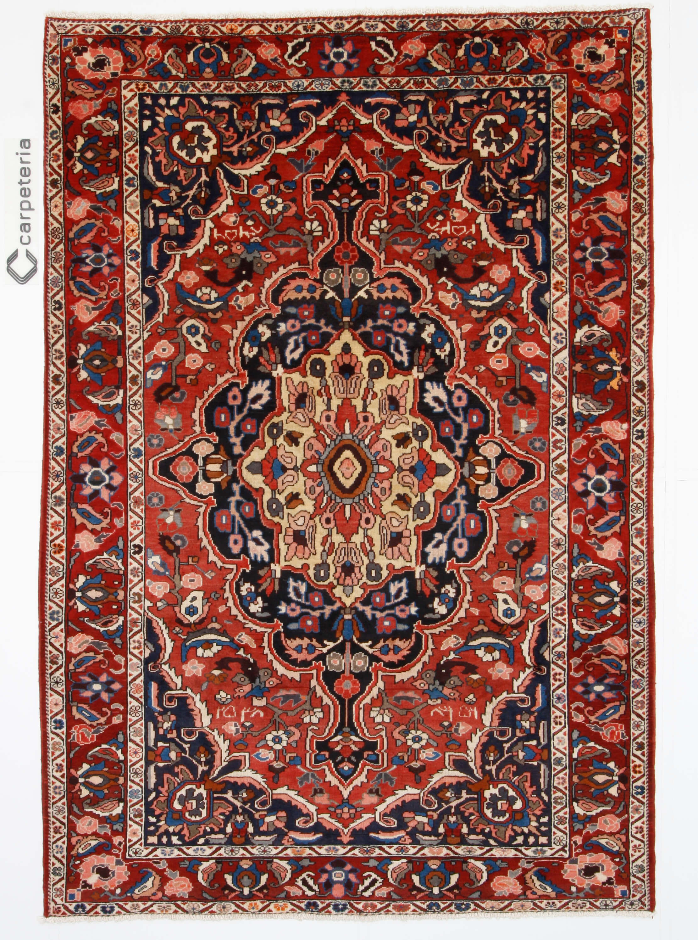 Persian rug Bakhtiar