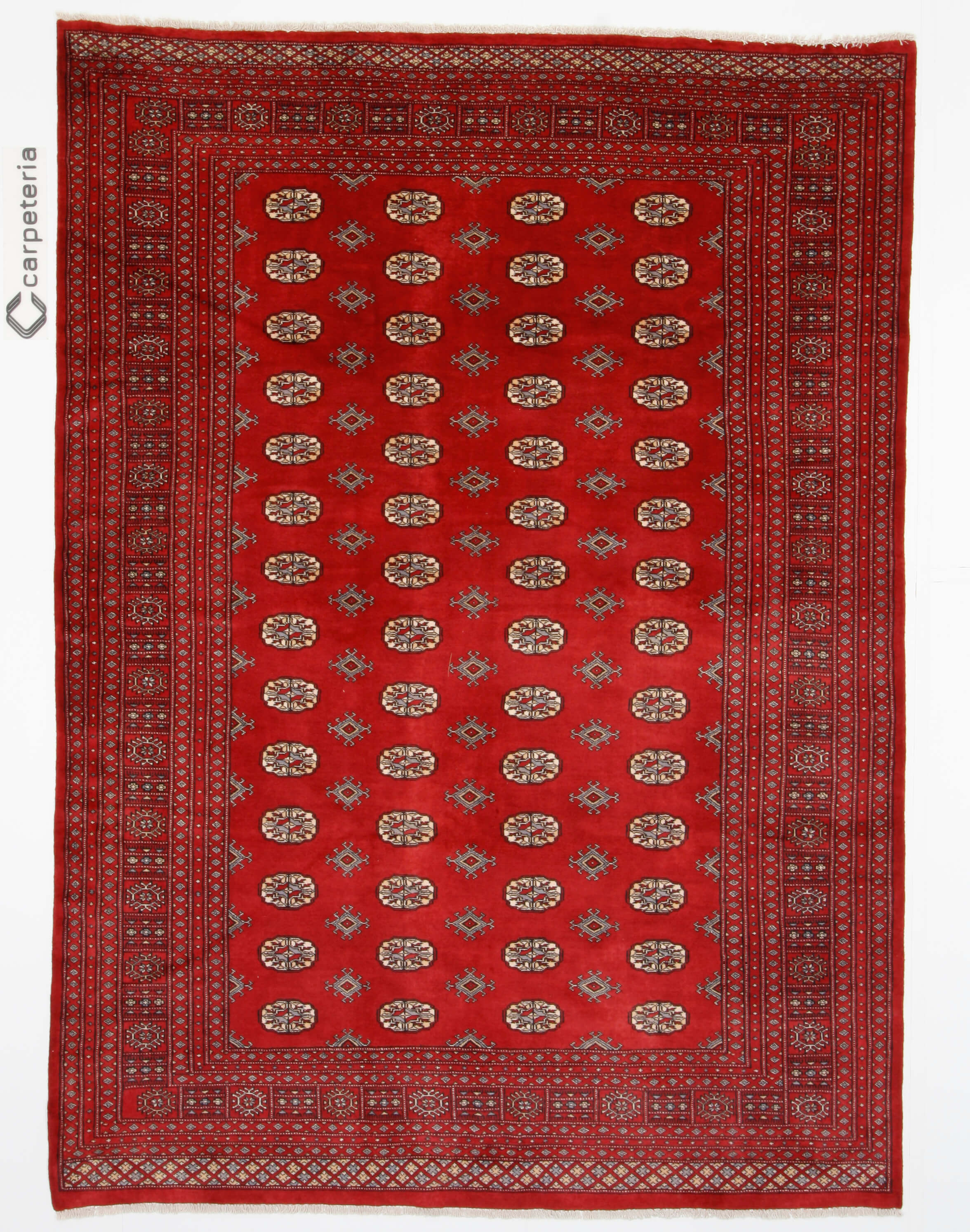 Oriental rug Bukhara Exclusive