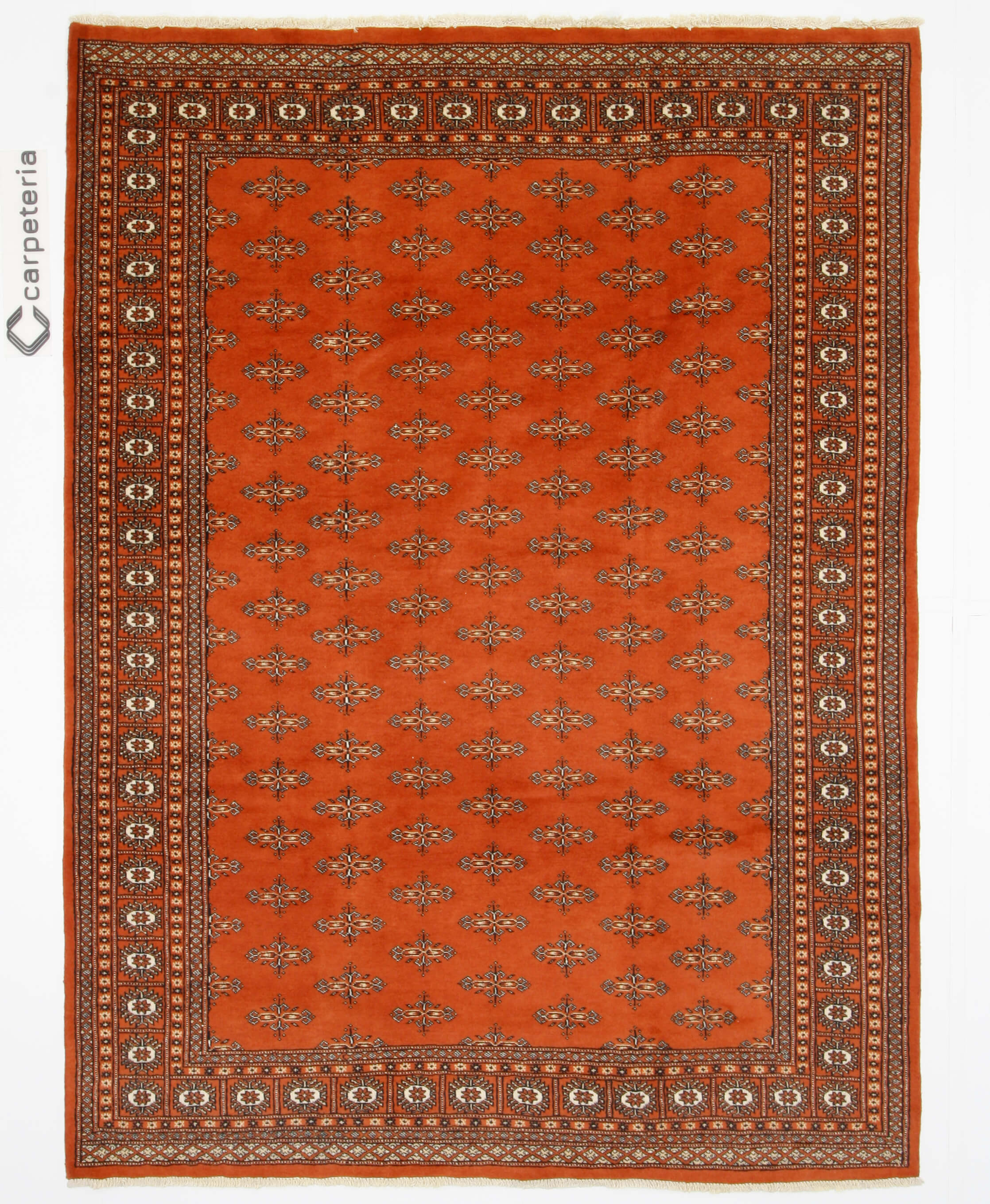 Oriental rug Bukhara Exclusive