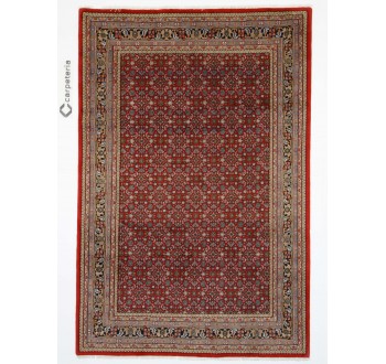 Oriental rug Herati Exclusive