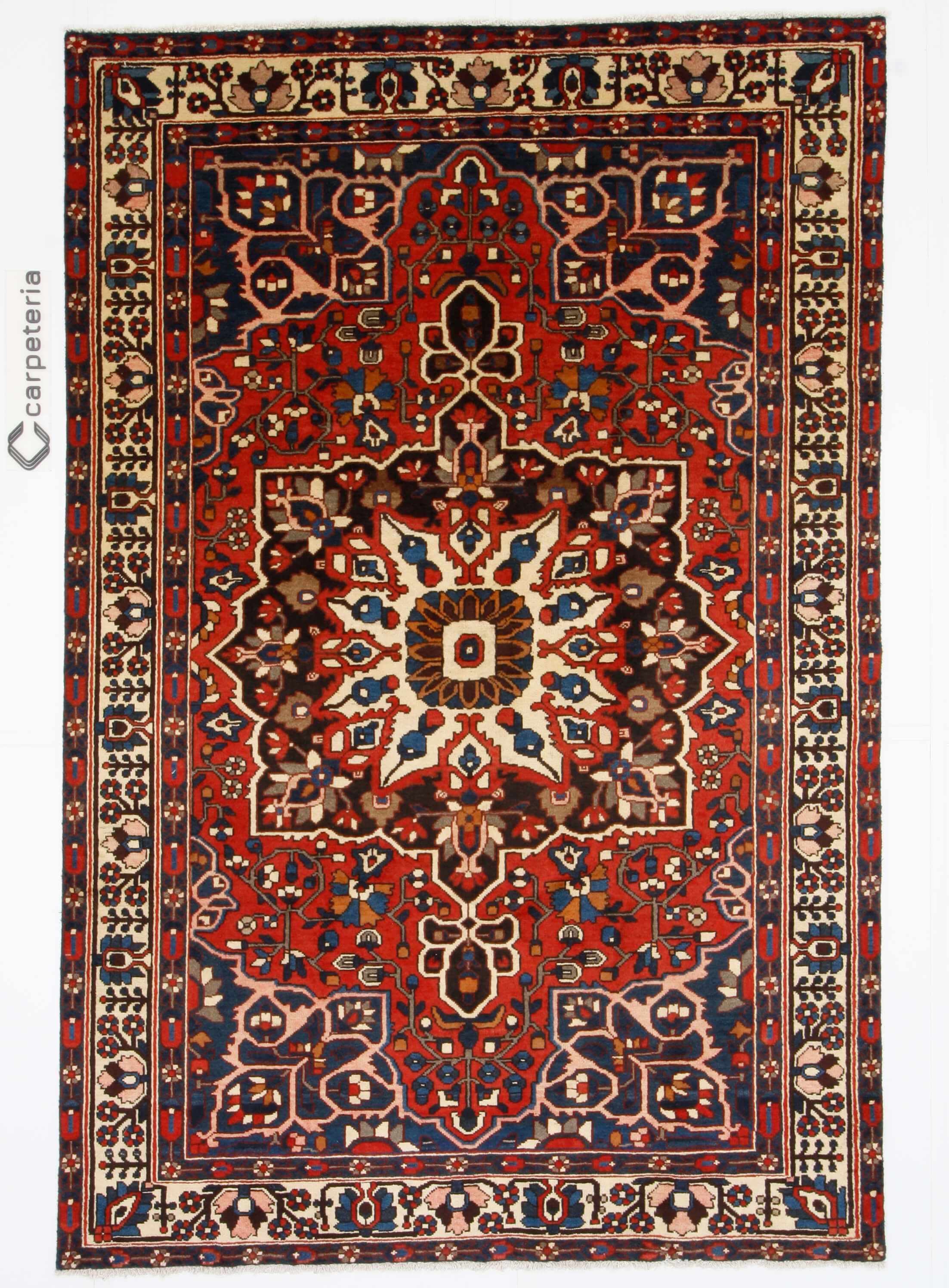 Persian rug Bakhtiar