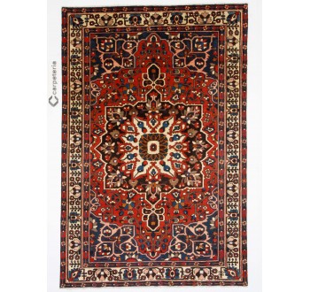 Persian rug Bakhtiar