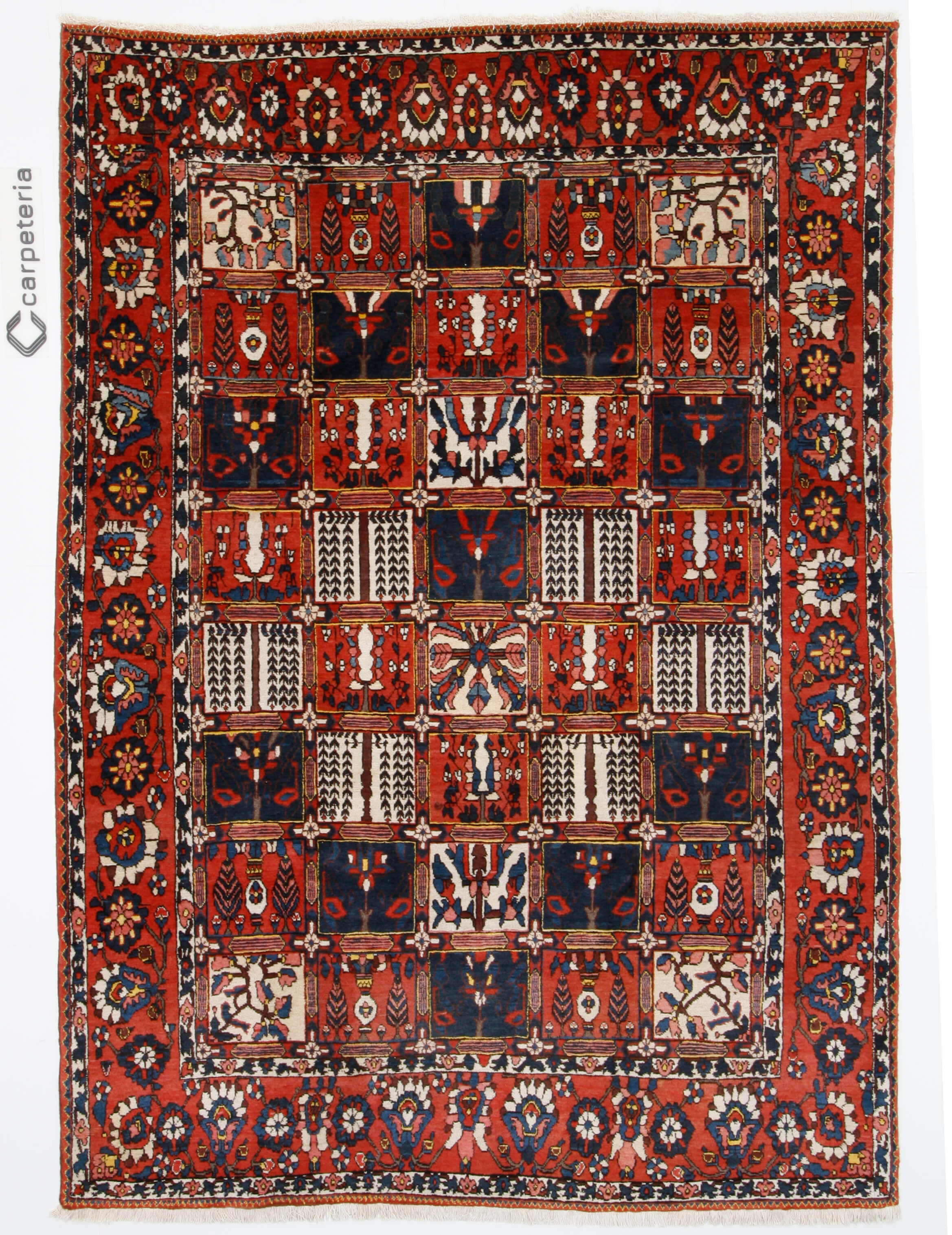 Persian rug Bakhtiar