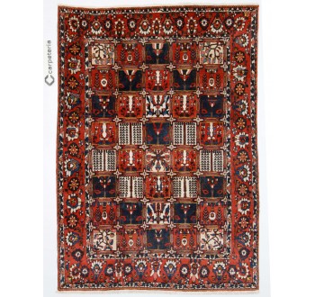 Persian rug Bakhtiar