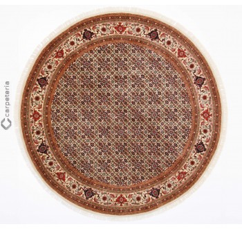 Oriental rug Bidjar