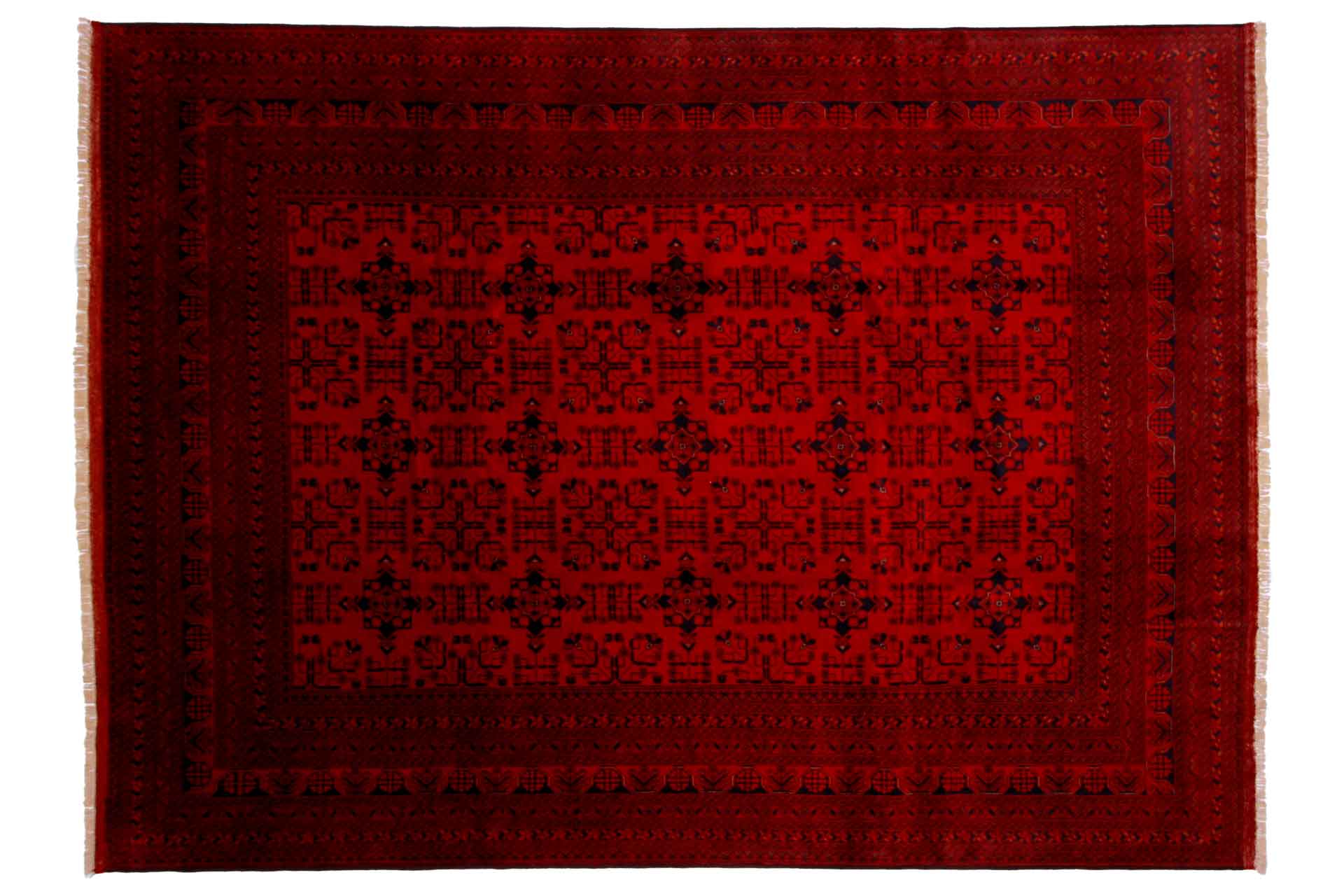 Oriental rug Mauri Exclusive