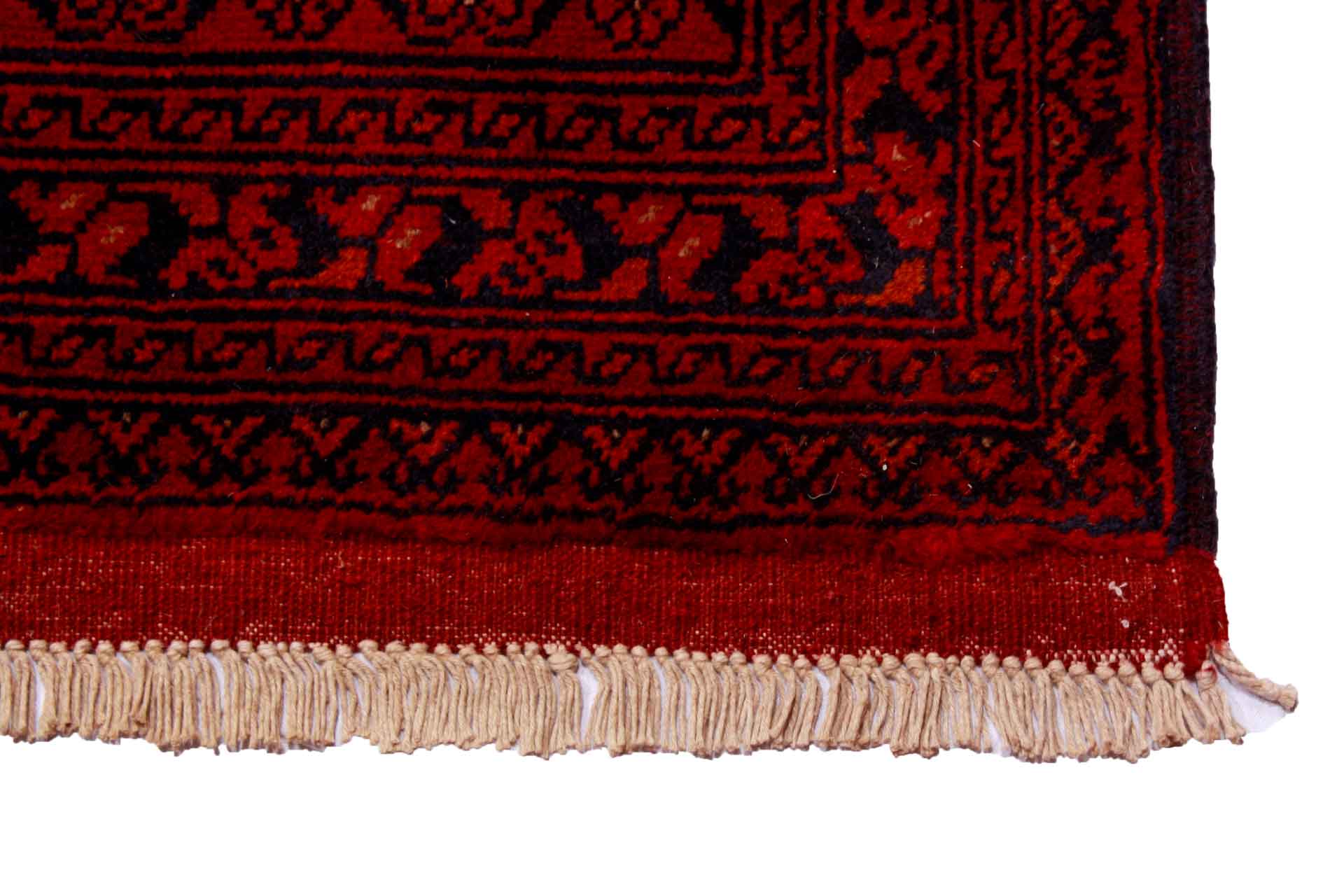 Oriental rug Mauri Exclusive