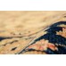Oriental rug Ziegler Exclusive