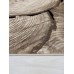 Brown Collection