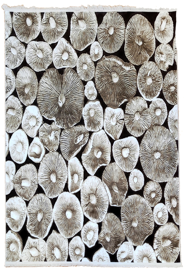 Brown Collection