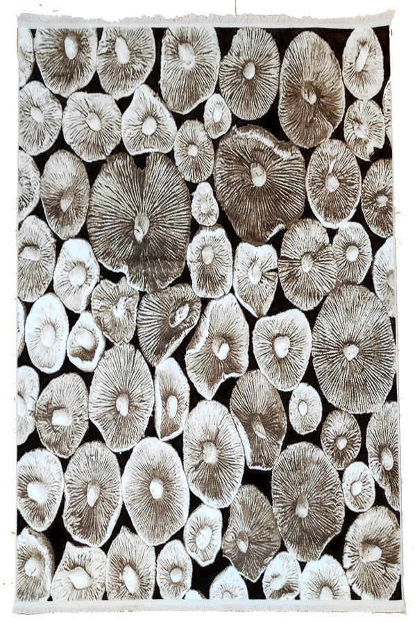 Brown Collection