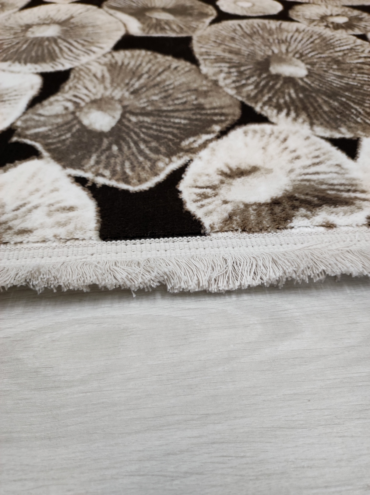 Brown Collection