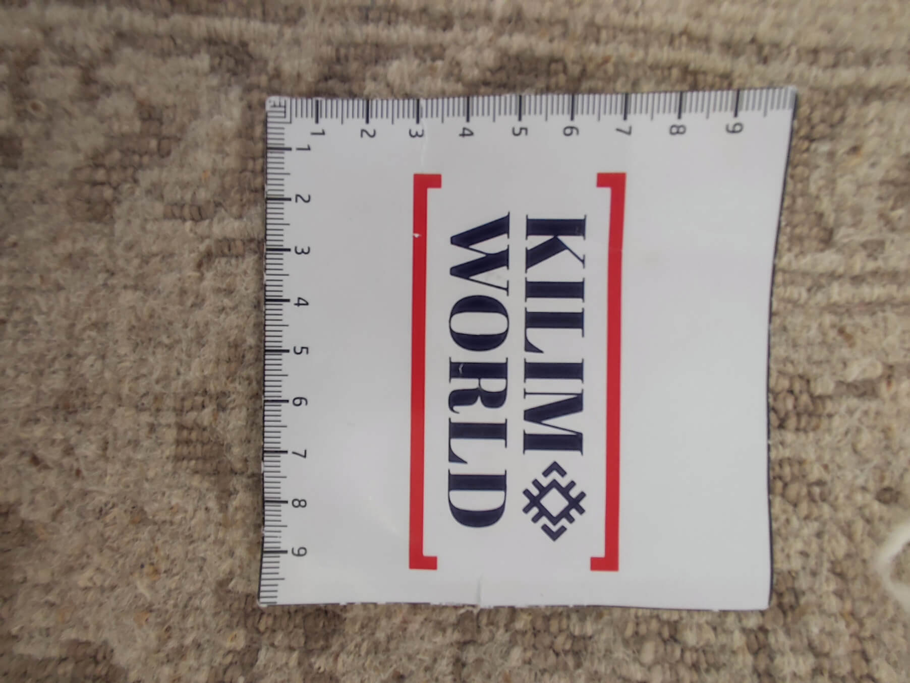 Modern rug Ikat Exclusive