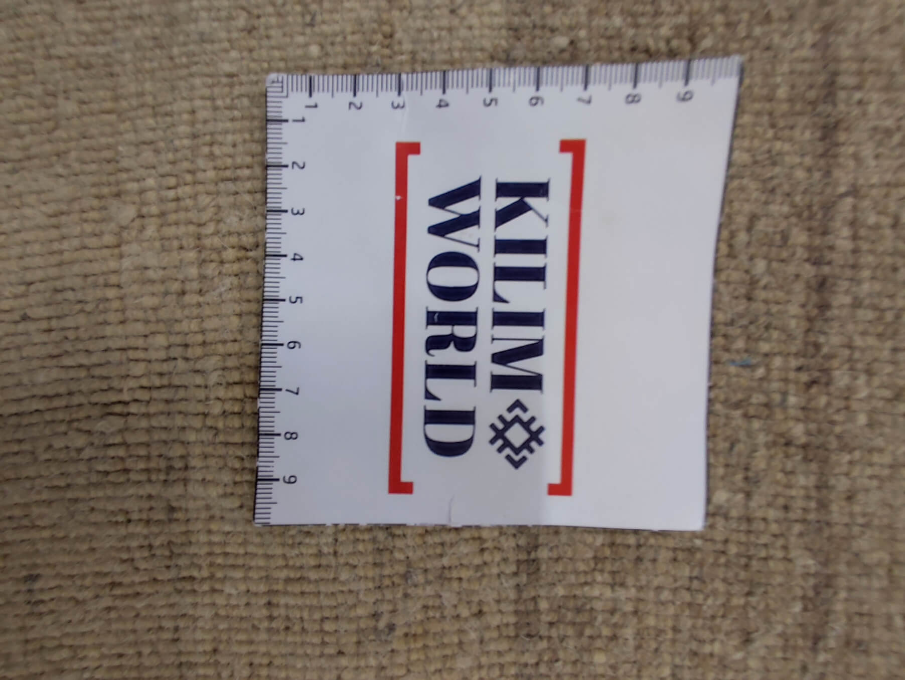 Modern rug Loribaft Exclusive