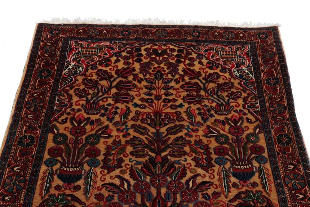 Persian rug Sarugh