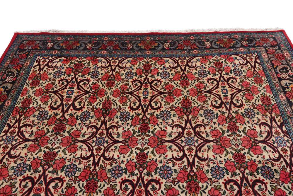 Persian rug Bidjar