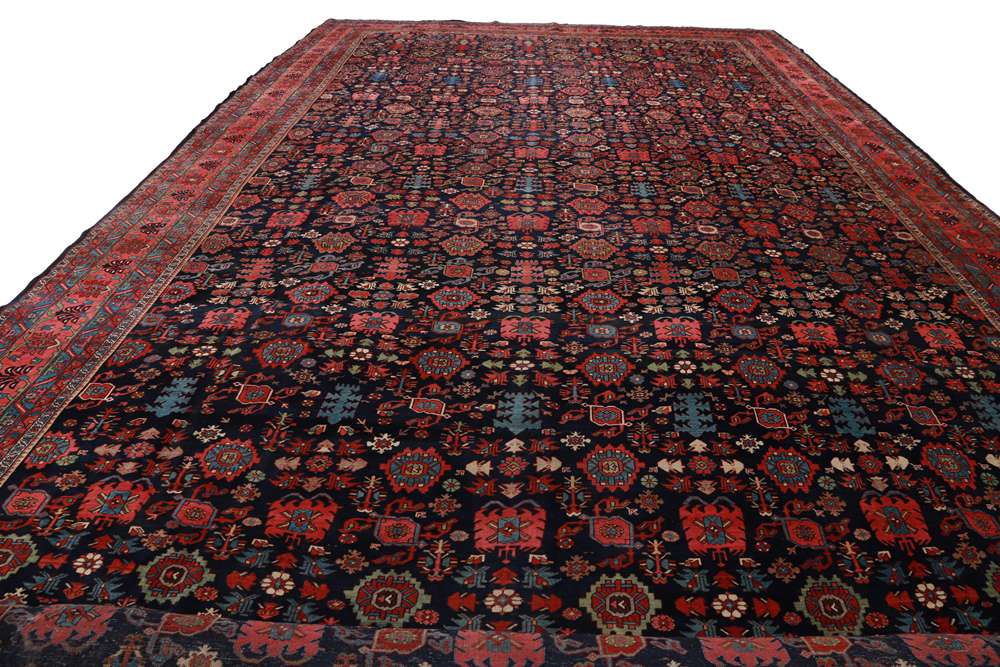Persian rug Bidjar