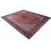 Persian rug Bidjar