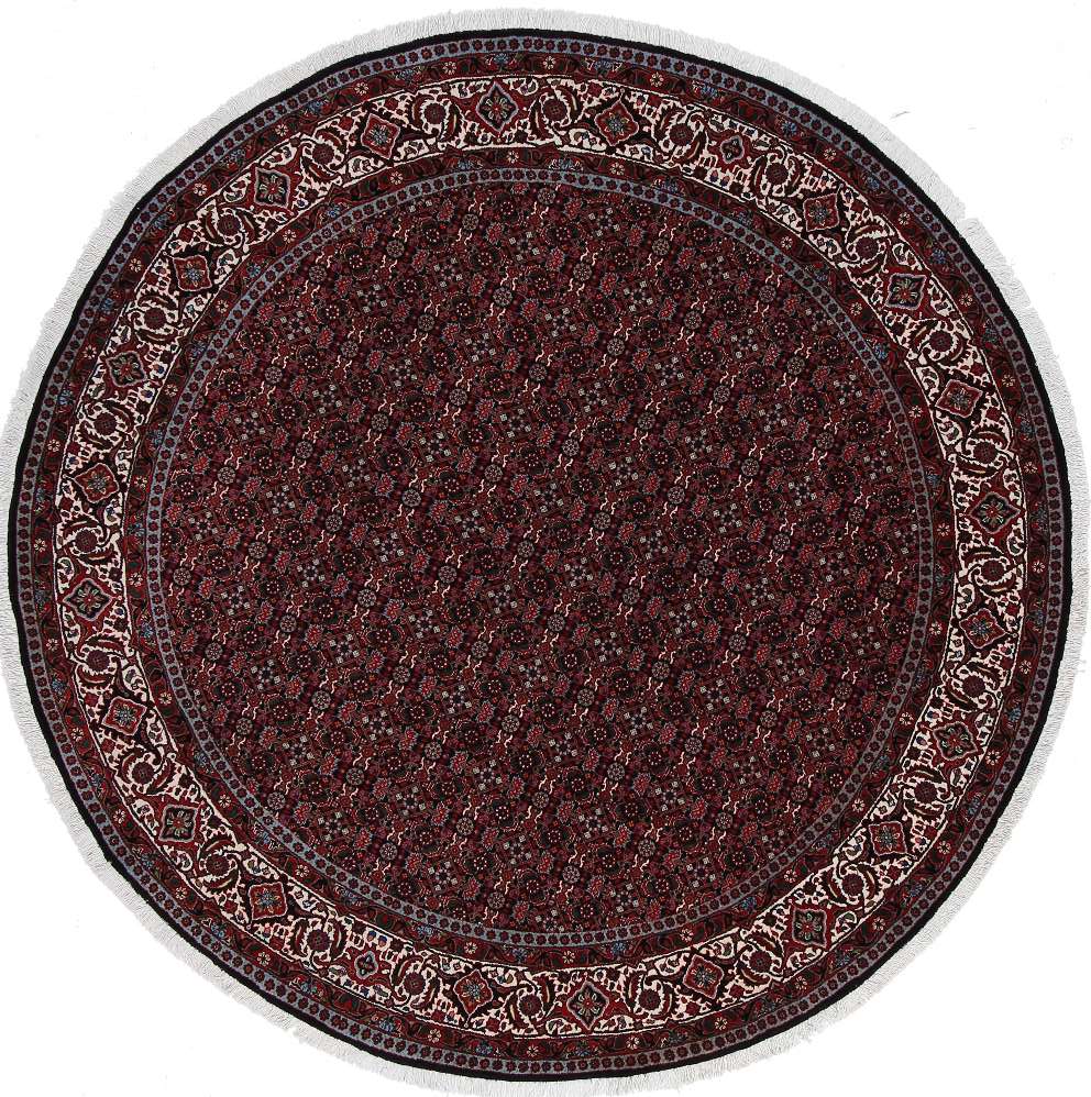 Persian rug Bidjar