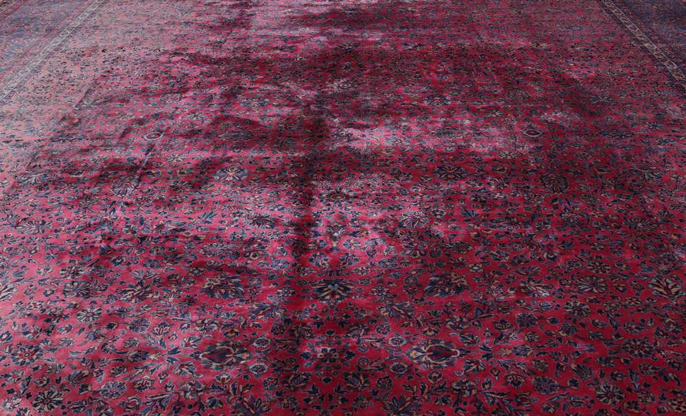 Oriental rug Agra