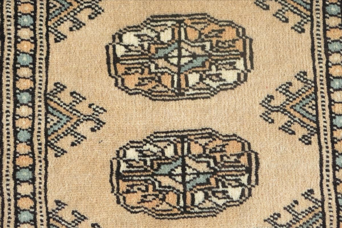 Oriental rug Bukhara Exclusive