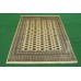 Oriental rug Bukhara Exclusive