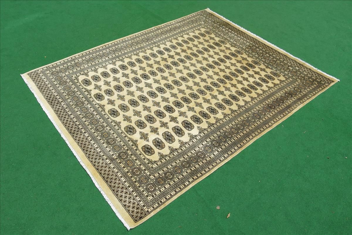 Oriental rug Bukhara Exclusive