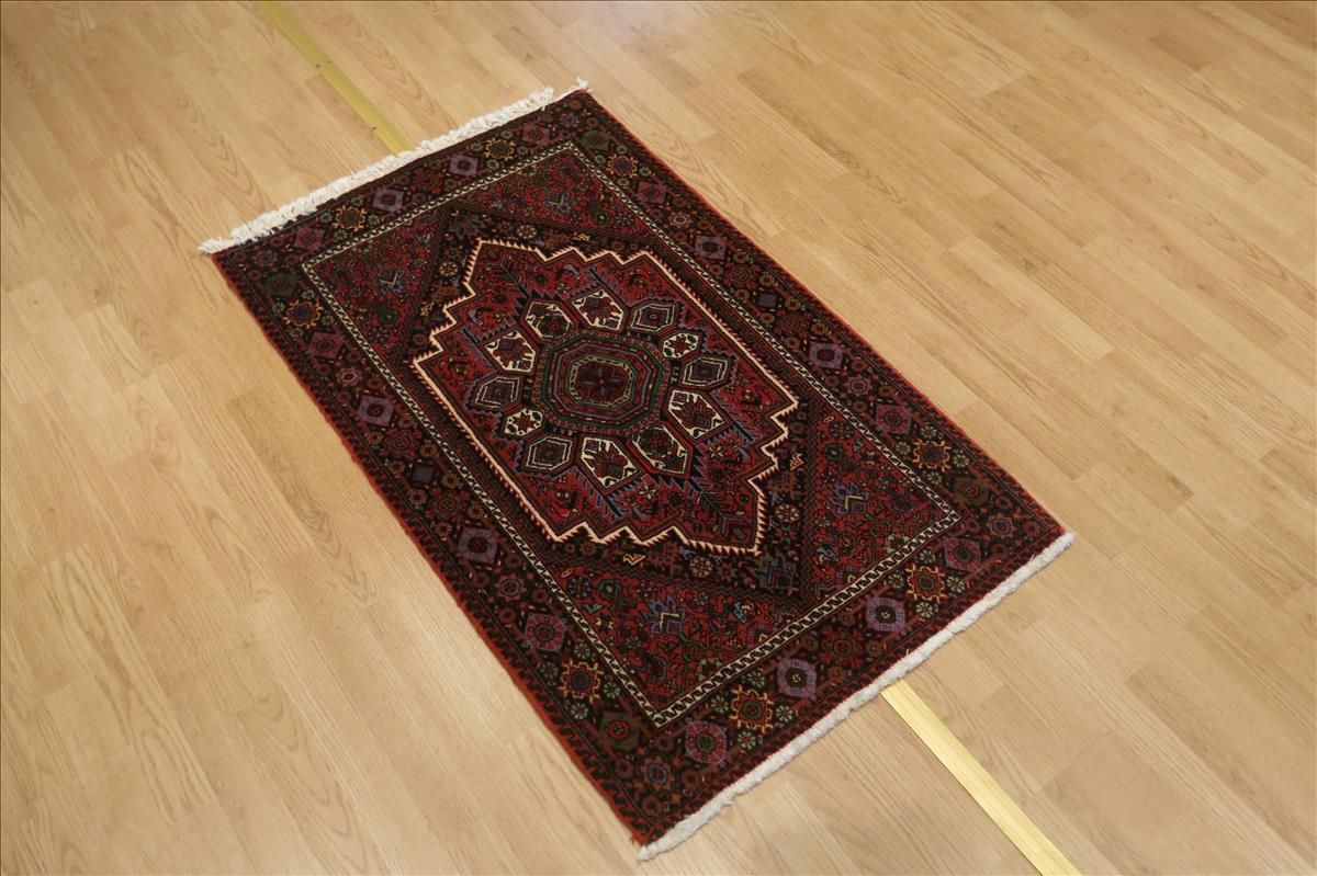 Oriental rug Goltogh Exclusive