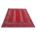 Oriental rug Bukhara Exclusive