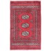 Oriental rug Bukhara Exclusive