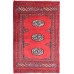 Oriental rug Bukhara Exclusive