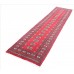 Oriental rug Bukhara Exclusive