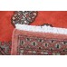 Oriental rug Bukhara Exclusive