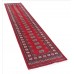 Oriental rug Bukhara Exclusive