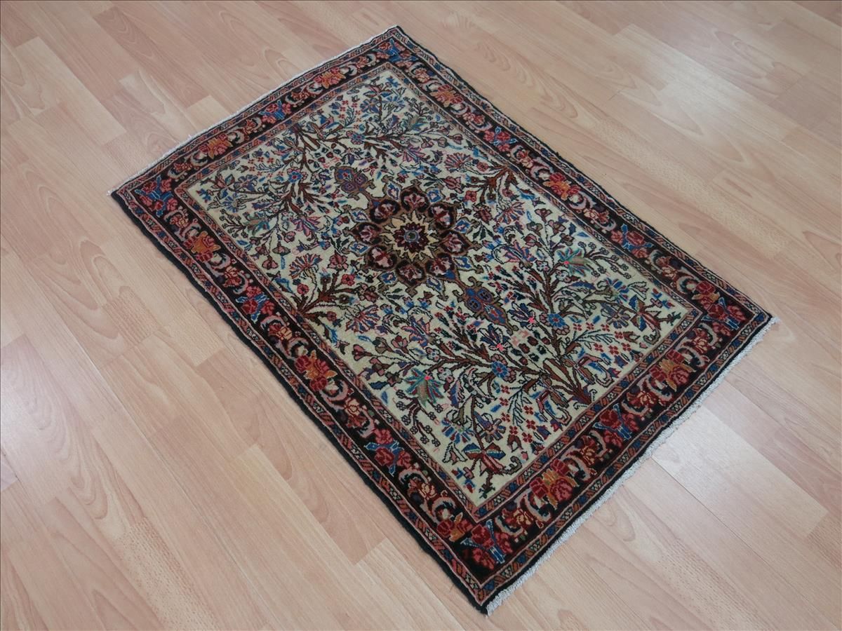 Oriental rug Bidjar Super