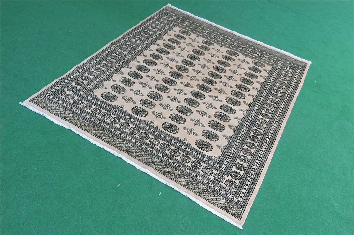 Oriental rug Bukhara Exclusive
