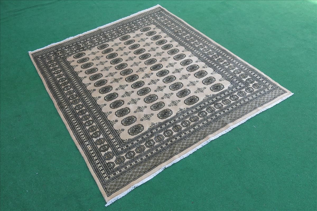 Oriental rug Bukhara Exclusive
